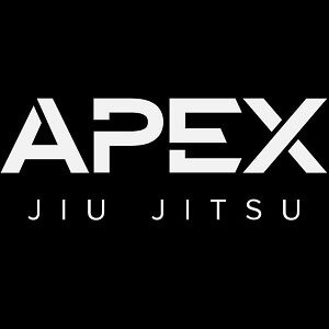 APEX Jiu Jitsu Academy Troy